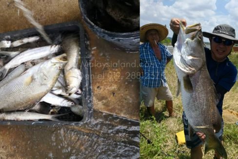 Big Fishes - Edited