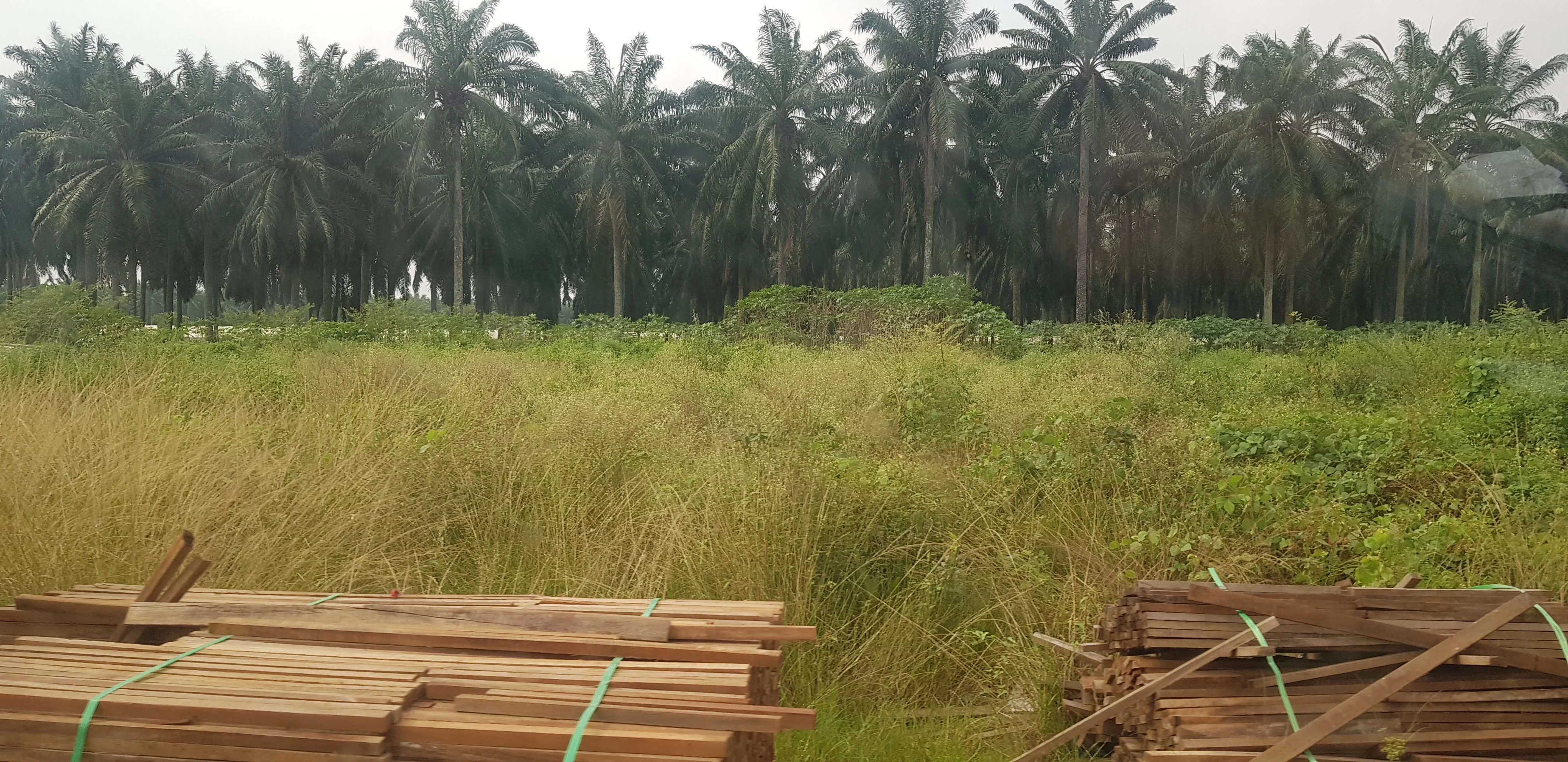 Batu Kawan, Penang – 10 acres Freehold Agriculture Land (Potential for industrial)