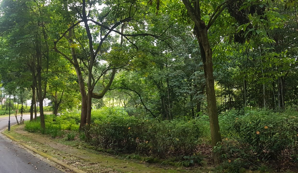20190718_074754