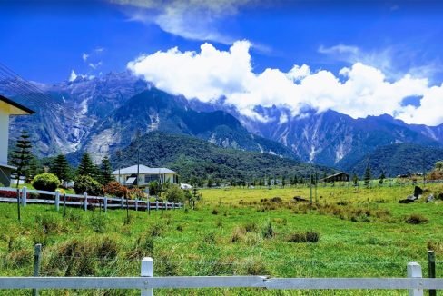 Kundasang cattle farm