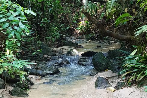 Sg Tekali 27 acres durian river