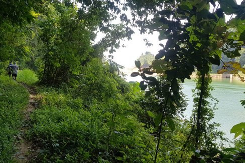 Teluk Bahang Dam road road beside dam