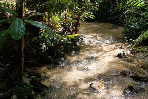 Ulu langat 24a soothing river