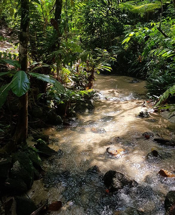 Ulu langat 24a soothing river