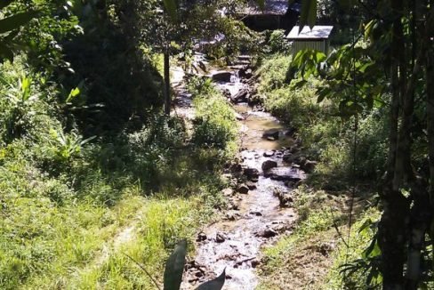 View-of-the-river-before-the-waterfall