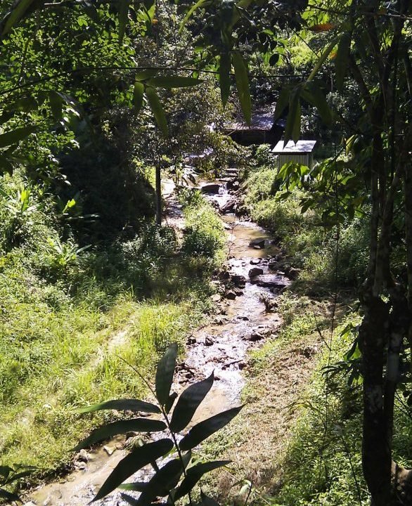 View-of-the-river-before-the-waterfall
