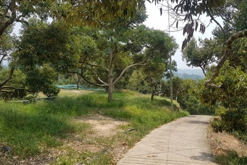 Bentong 25 acres mixed orchard-2