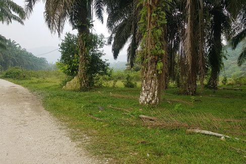 Kulim 37 acres potential development land-1