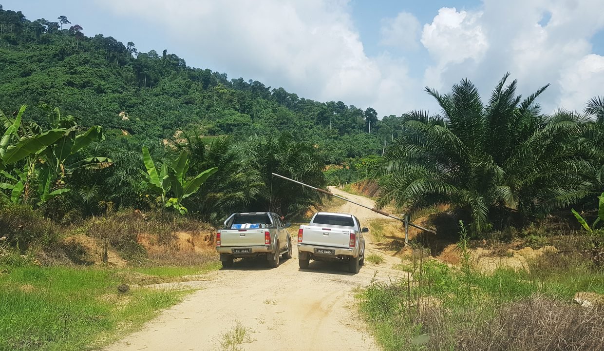 Alternative entrance to 388 acres - 1 lot from main road