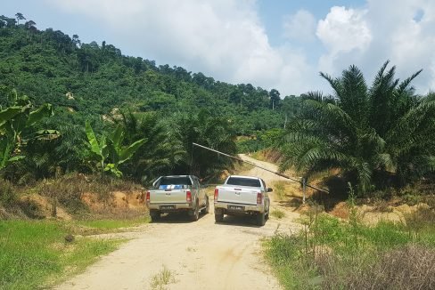 Alternative entrance to 388 acres - 1 lot from main road