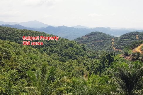 Gua Musang 388 acres for web (1)