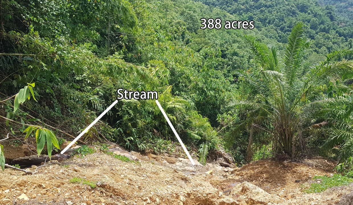 Gua Musang 388 acres-stream