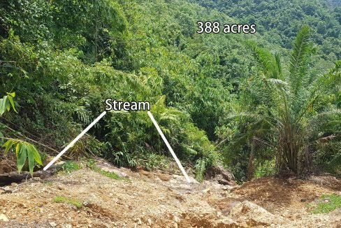 Gua Musang 388 acres-stream
