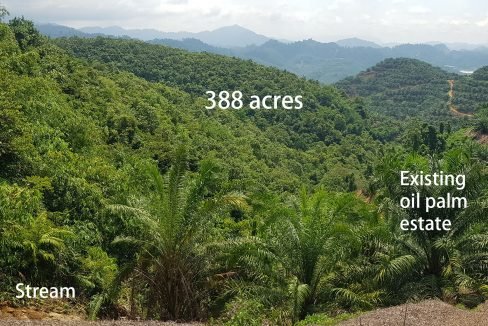 Gua Musang 388 acres-stream2