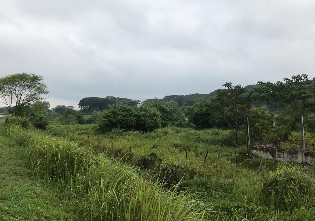 Batu Gajah 2 acres Freehold fish farm (2)