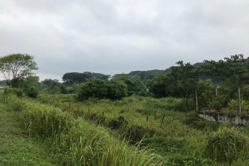 Batu Gajah 2 acres Freehold fish farm (2)