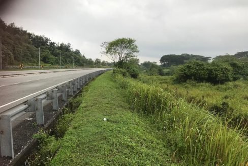 Batu Gajah 2 acres Freehold fish farm (3)