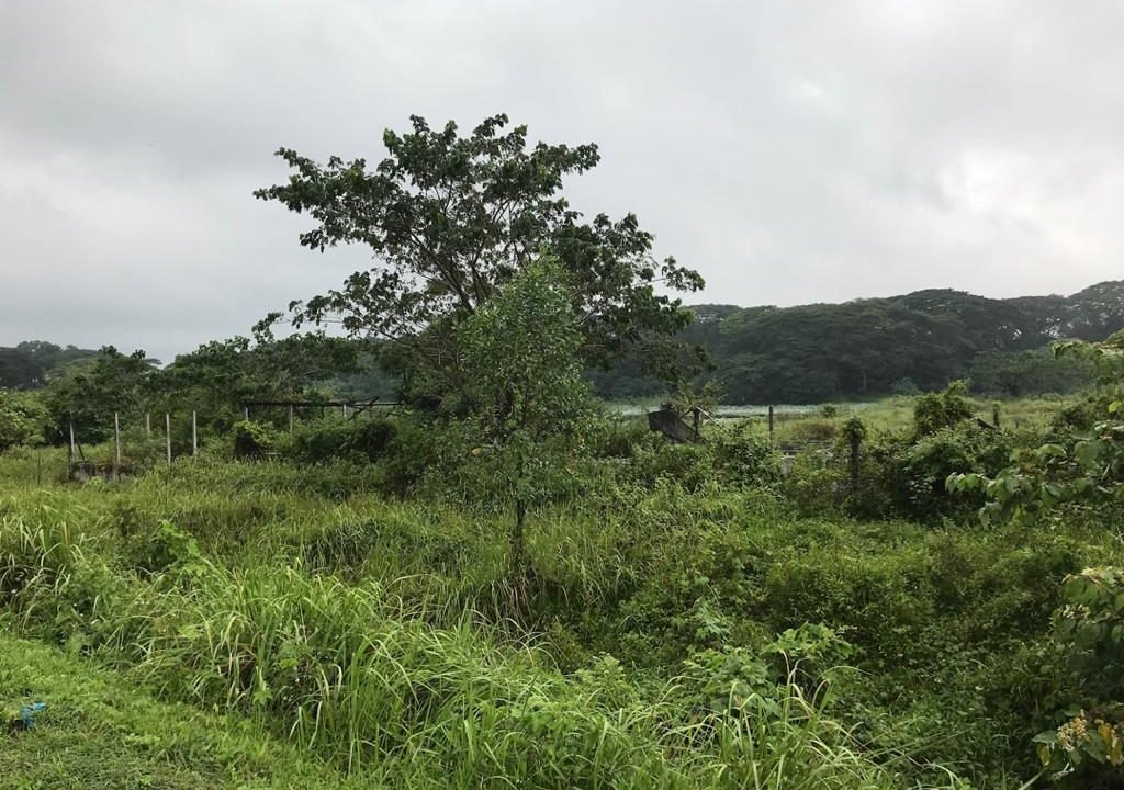Batu Gajah 2 acres Freehold fish farm (4)