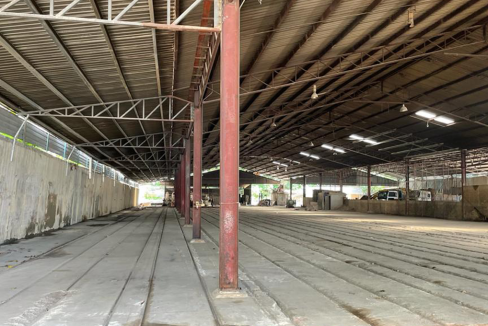 factory 6