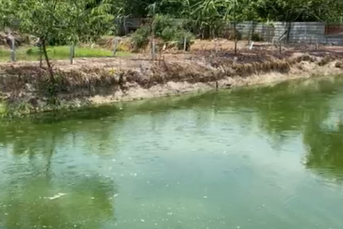 lake 3