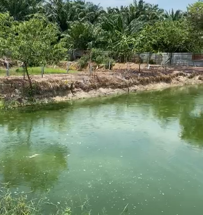 lake 3