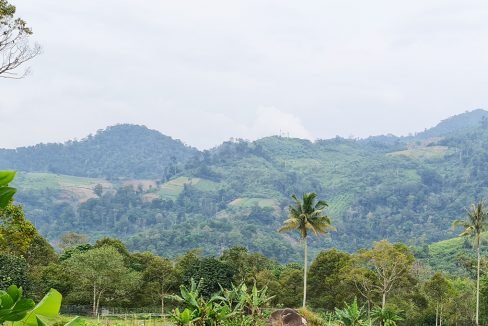 Bukit Tinggi 2.5 acres FH 3