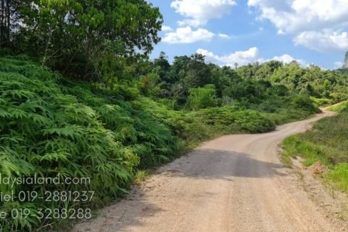One of the roads along SP - Edited
