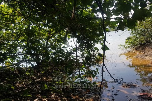 Riverine Land River