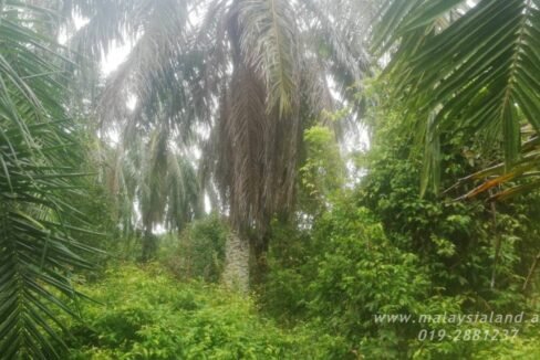 Website - Alor Pongsu 2.2 1