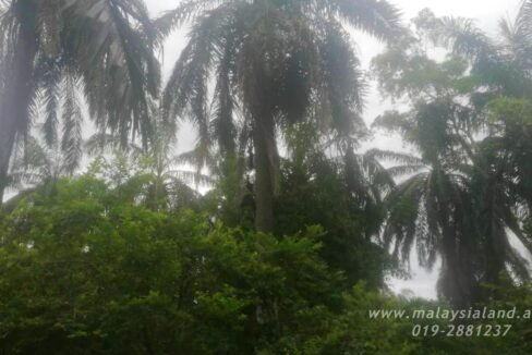 Website - Alor Pongsu 2.2 3