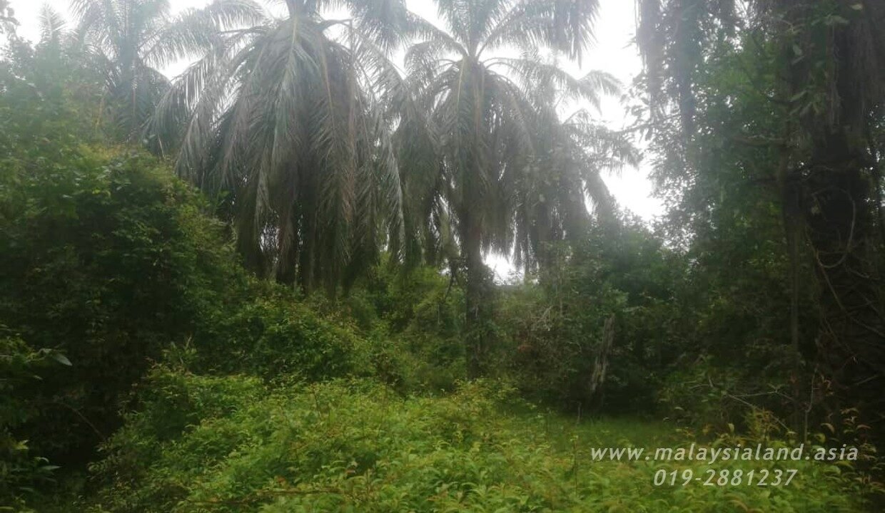 Website - Alor Pongsu 2.2 4