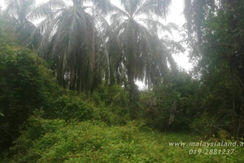 Website - Alor Pongsu 2.2 4
