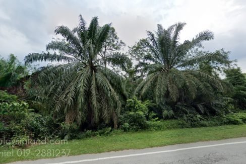 road 1