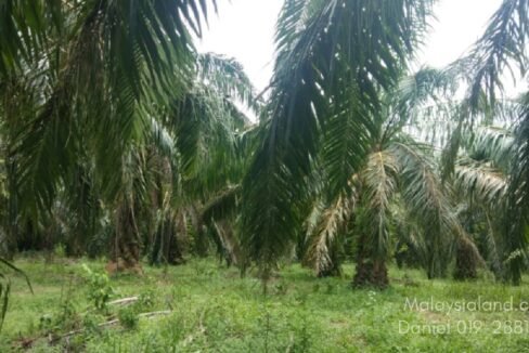 Website - Tapah 20a 1