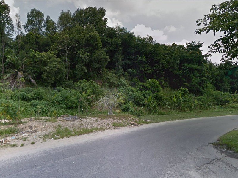 Kulim Town, Kedah 30 acres Freehold Agriculture Land (Potential for