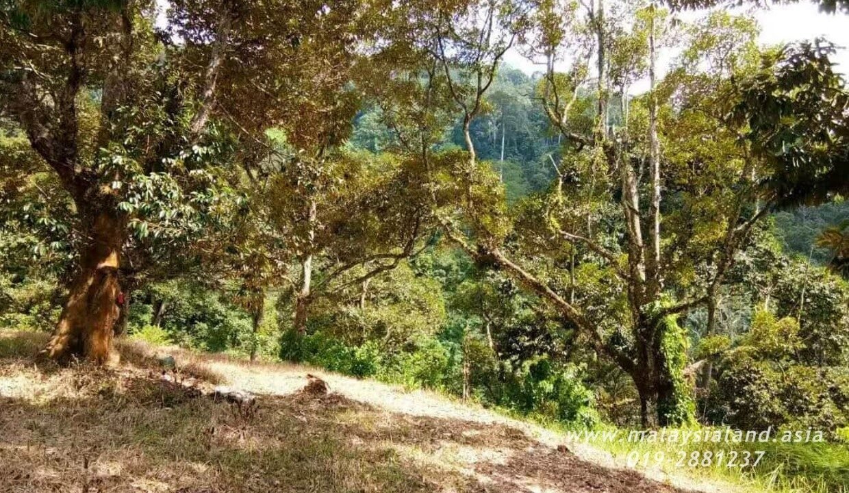 Website - Kamunting 4