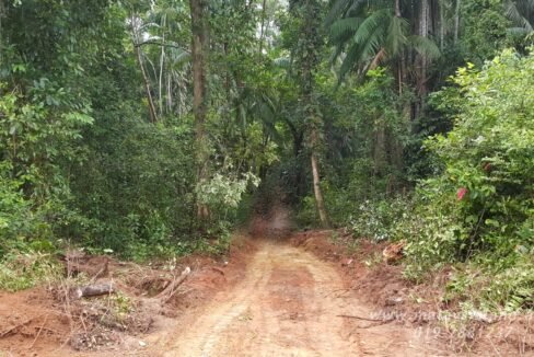Website - Rompin Beach 1