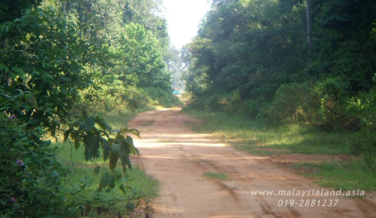 Website - Rompin Beach 5