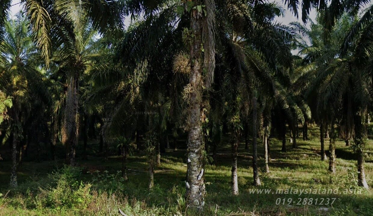 Website - Tapah 100 a - 2