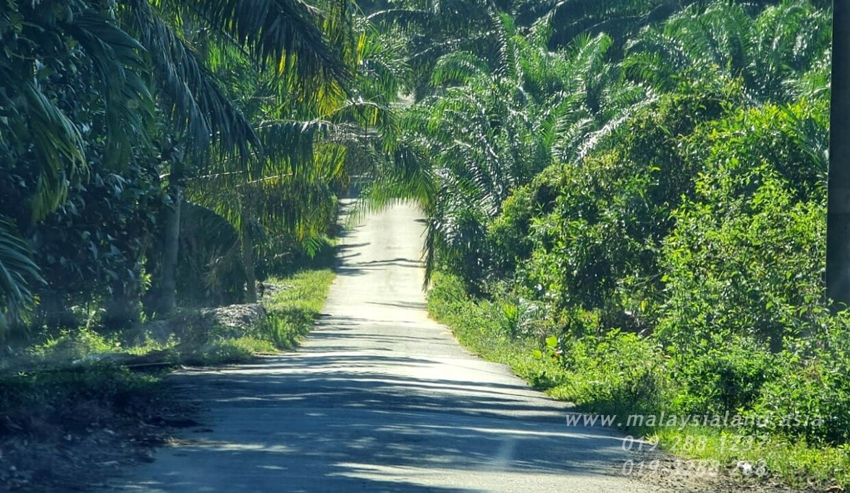 Website - Bukit Merah 400 ac 2