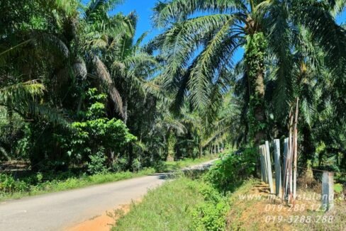 Website - Bukit Merah 400 ac 3
