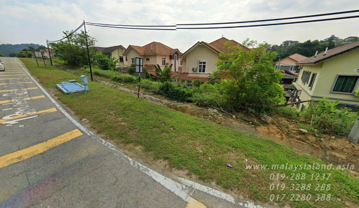Website(1)