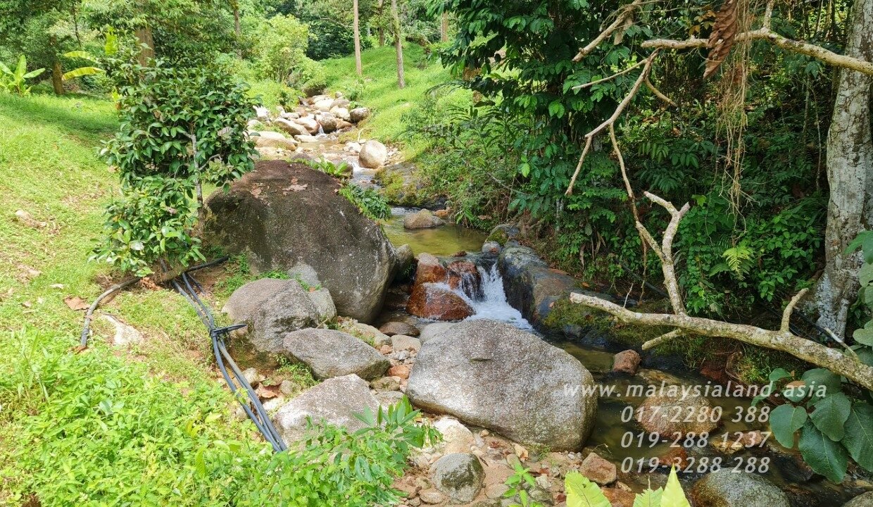 Website2