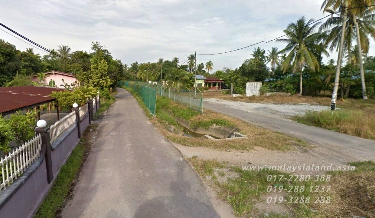 Website(3)