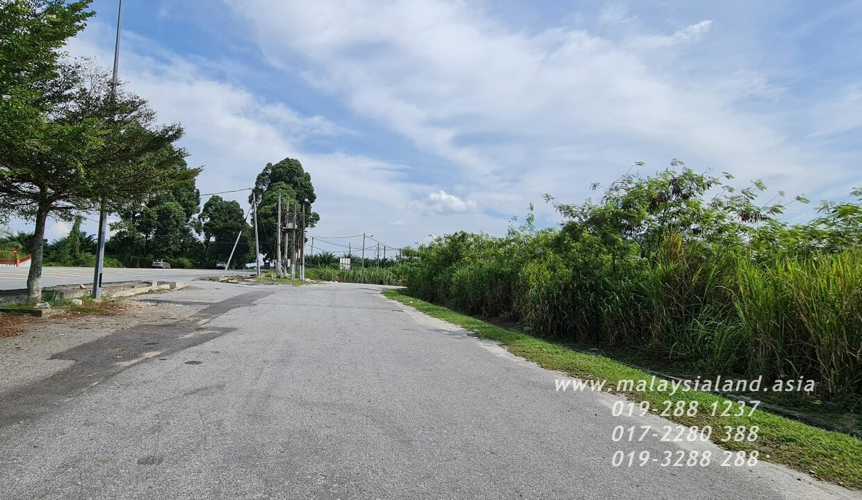 Website(15)