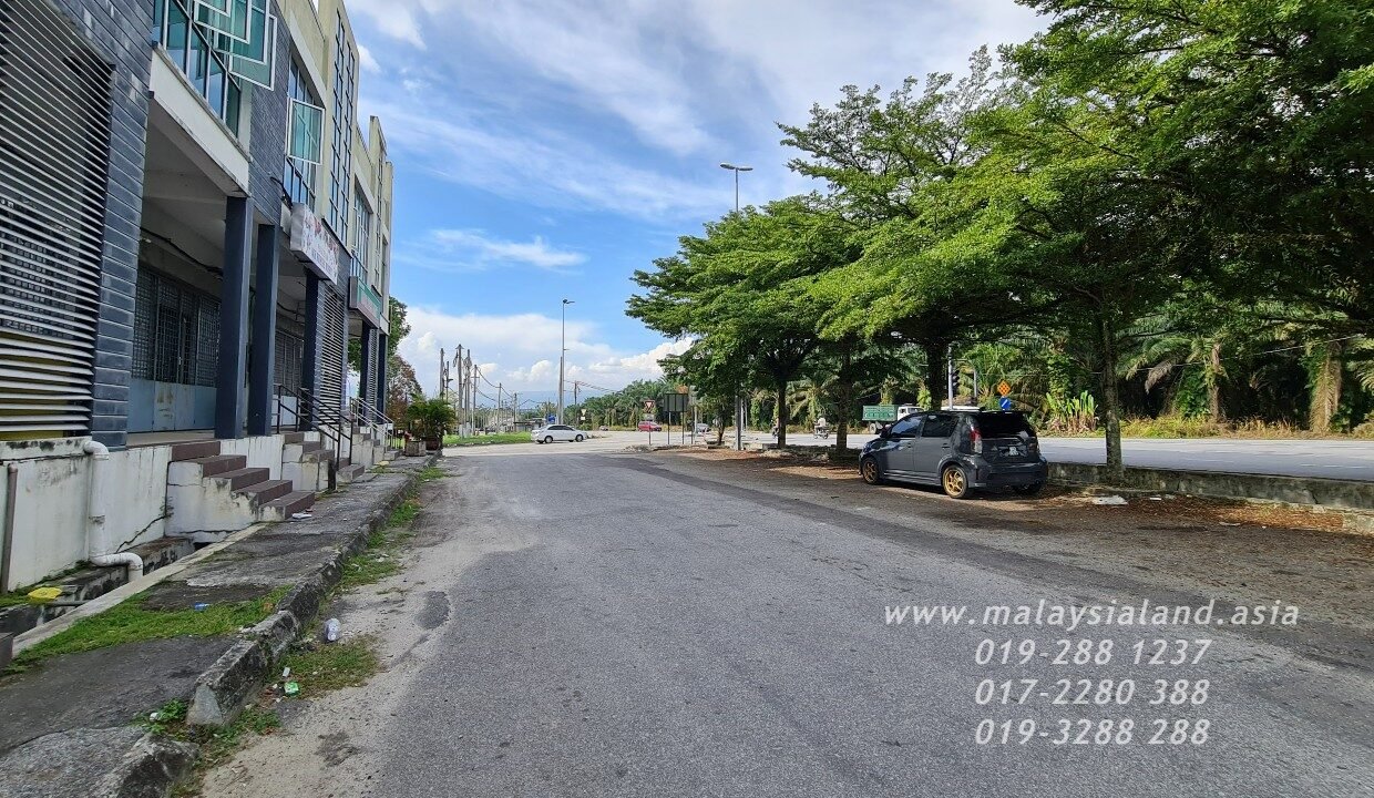 Website(16)