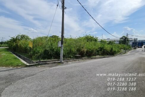 Website(17)