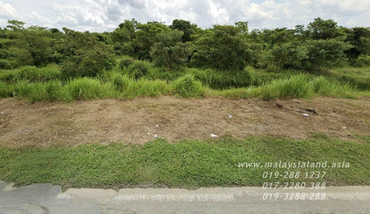 Website2