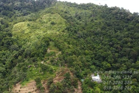 Website - View of hill with durian farm