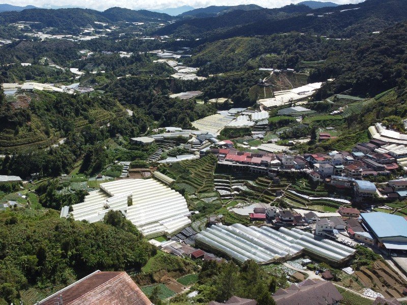 Cameron Highlands 10 acres Main Road Frontage Agriculture Land (Zoning Mixed Development